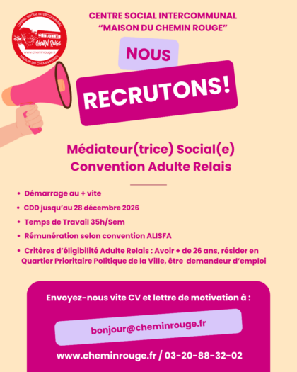 Mediateur(trice) Social